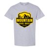 Heavy Cotton™ T-Shirt  Thumbnail